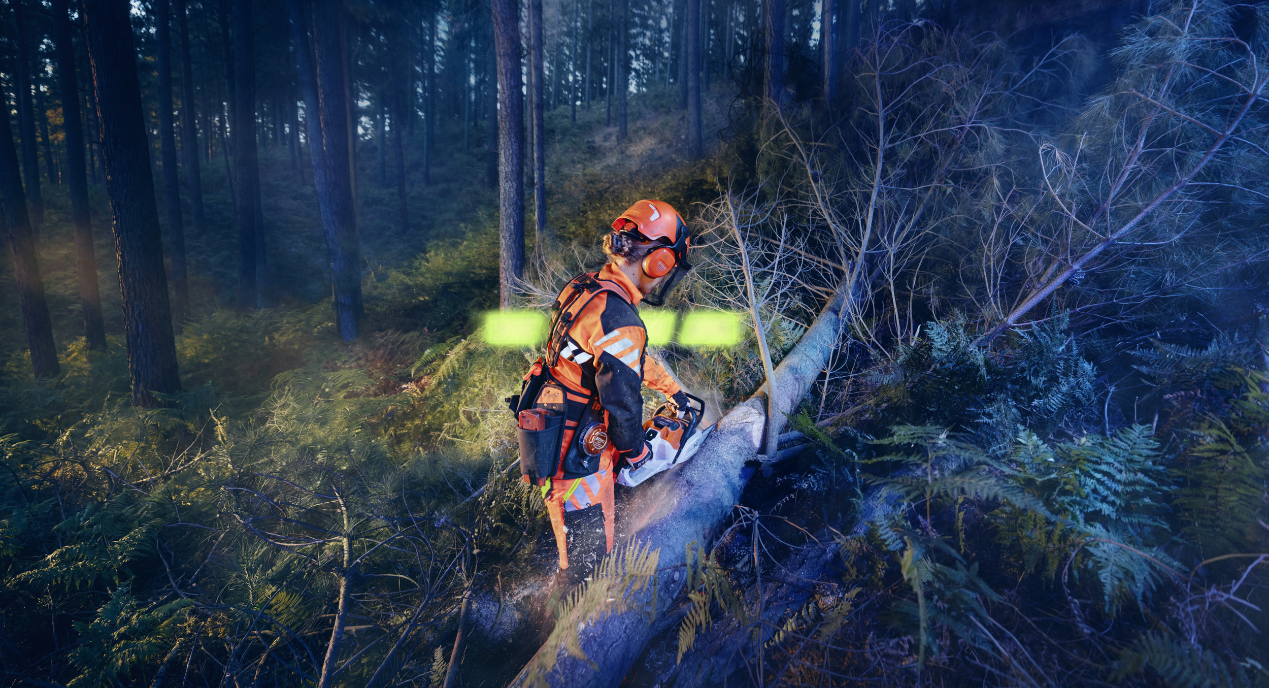 STIHL ALLPRO utilisé sur la MSA 260 lors de travaux forestiers.