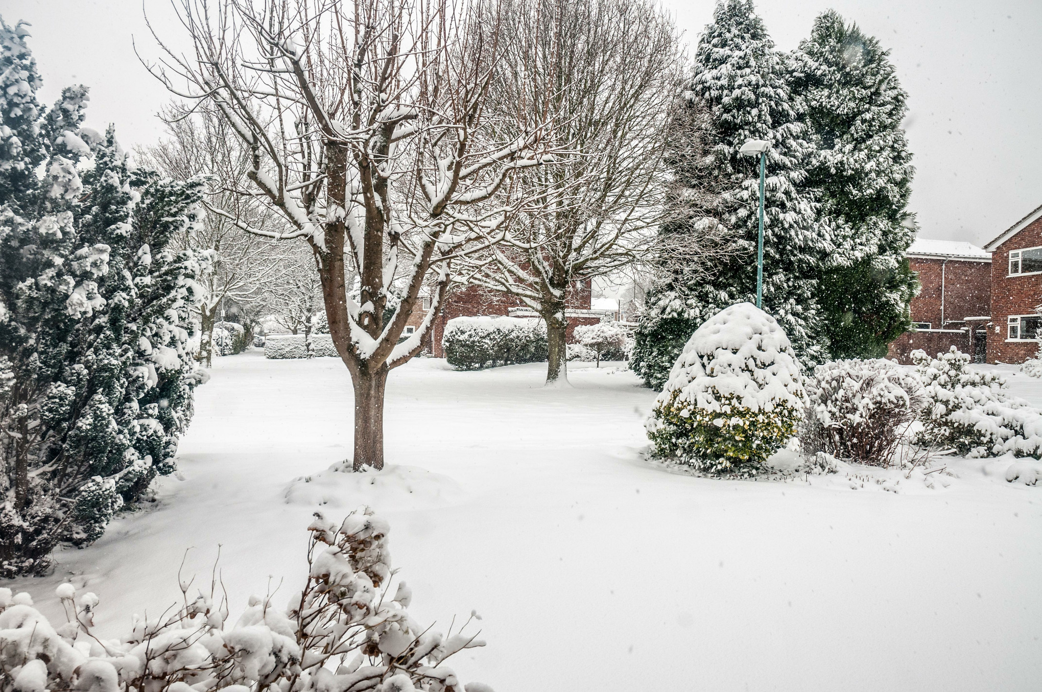 Jardin en hiver.