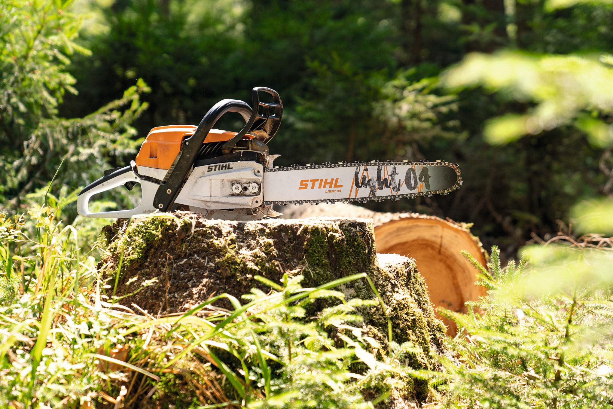 Scie à chaîne à essence STIHL MS261C-M sur un tronc d’arbre en forêt