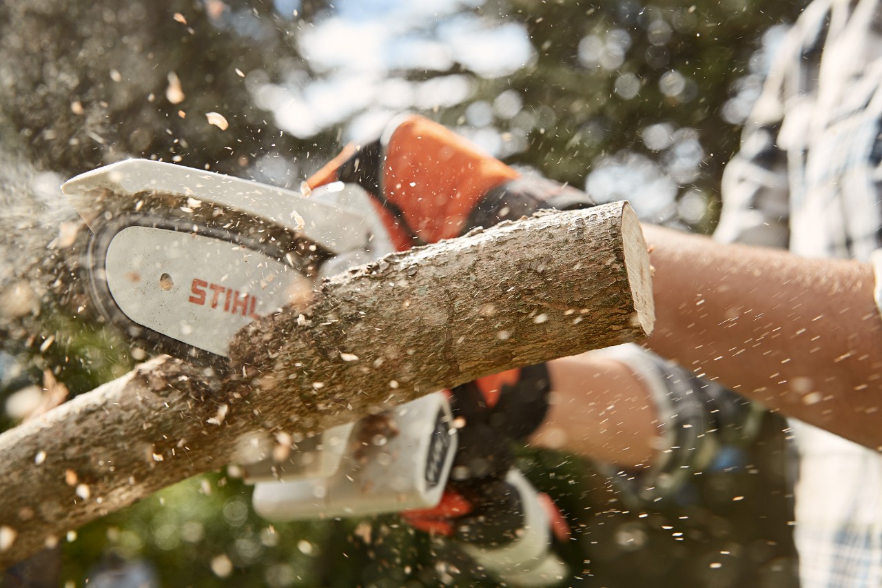 A person using a STIHL GTA 26 to cut off a branch.