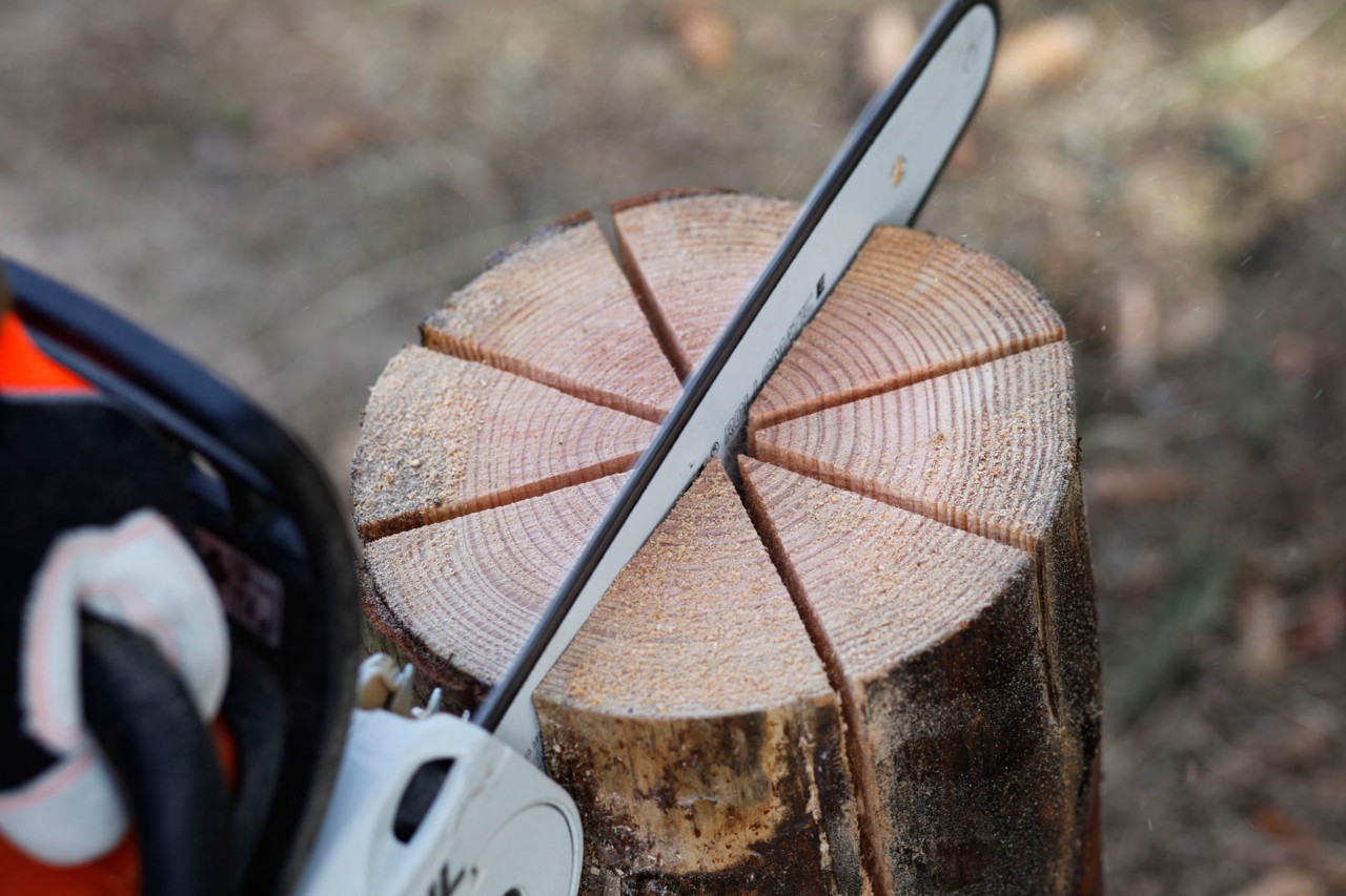 A STIHL MS 181 C petrol chainsaw being used to make eight cuts into the end of an upright log, in a star shape