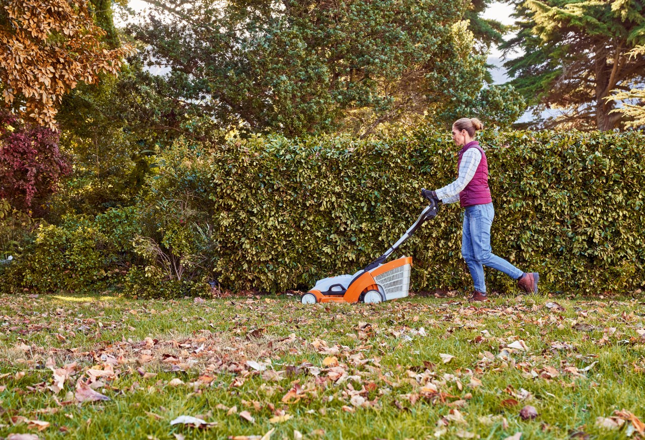 Woman mowing the leaf-covered lawn in front of a hedge with the STIHL RMA 339 C lawnmower