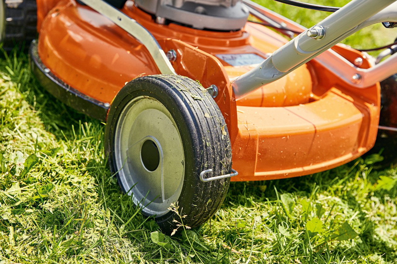 Tondeuse mulching thermique RM 2 de STIHL pour le mulching