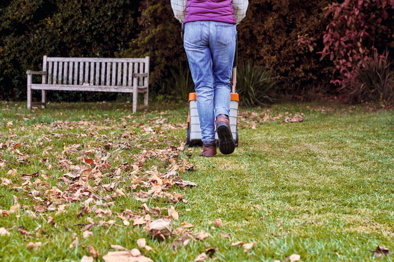 Une femme tond sa pelouse avec une tondeuse sur batterie STIHL RMA 339 C dans le cadre de l’entretien du gazon en automne