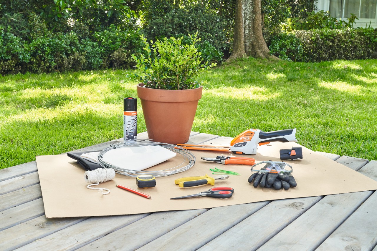 Buis non taillé et outils, dont le taille-buis sur batterie STIHL&nbsp;HSA&nbsp;26 et le sécateur STIHL&nbsp;PG&nbsp;10