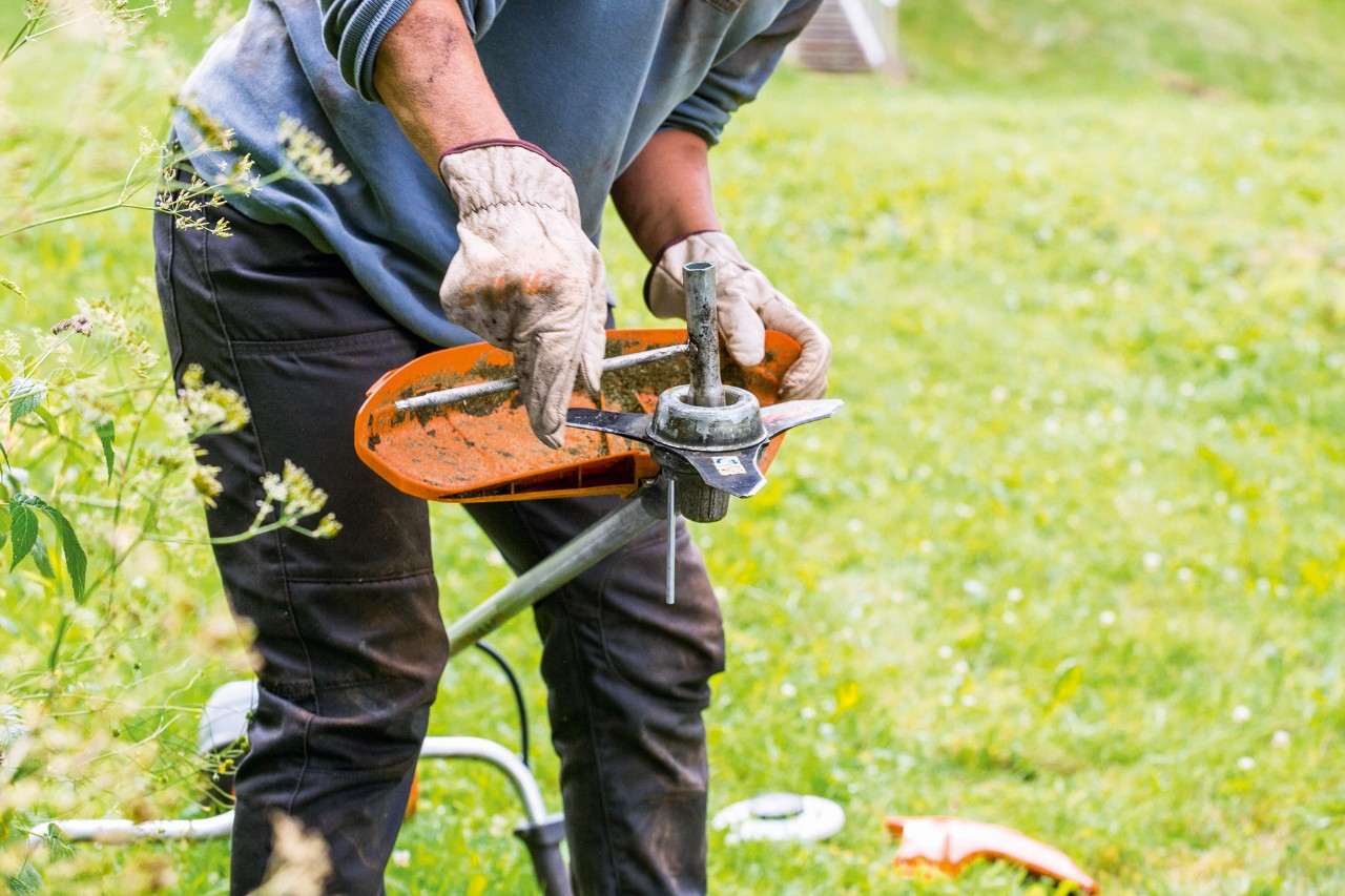 Lors de l’entretien de la débroussailleuse STIHL&nbsp;FS&nbsp;131, la tête faucheuse doit être nettoyée