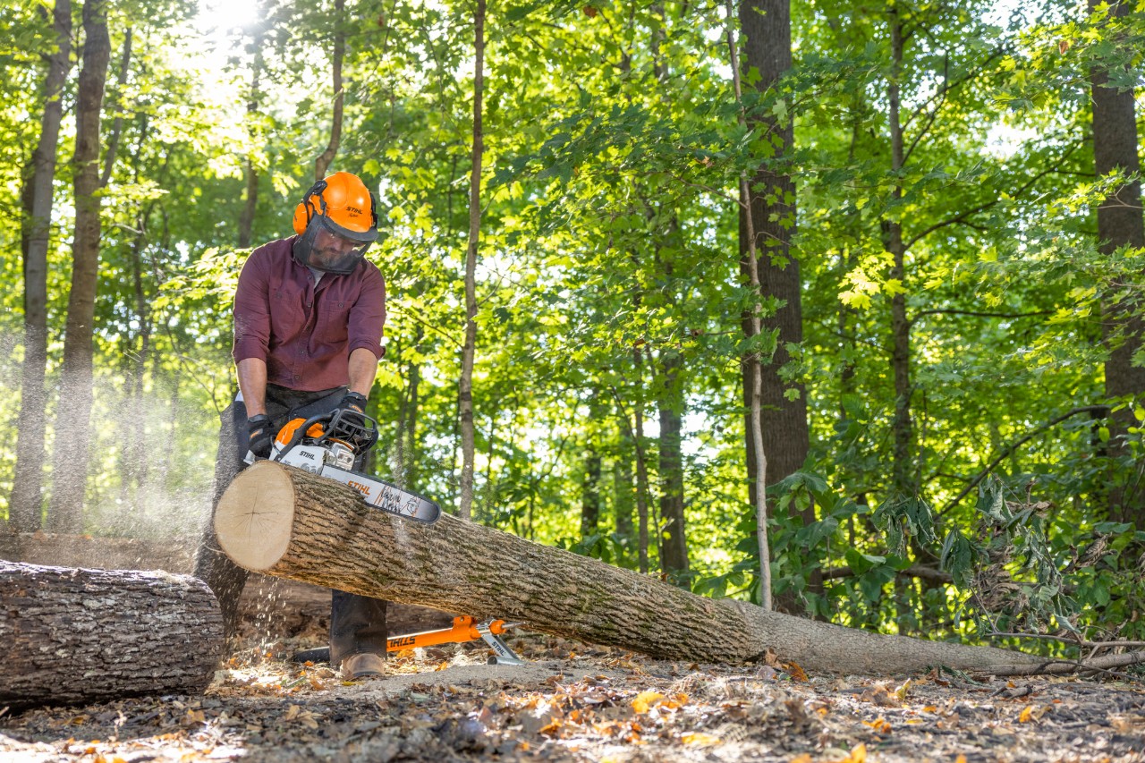 nature chainsaw 