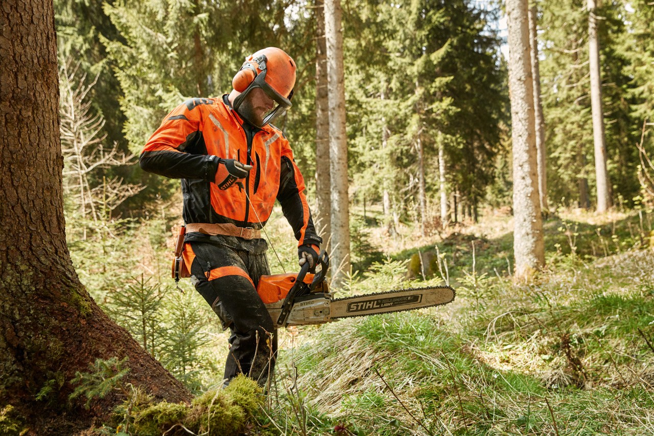 Un travailleur forestier vêtu d’un équipement de protection porte une tronçonneuse thermique STIHL MS 462 C dans une forêt de conifères