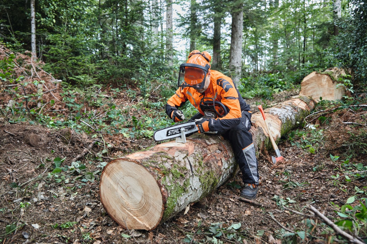 Homme en équipement de protection débitant un arbre abattu avec une tronçonneuse STIHL à guide-chaîne plein