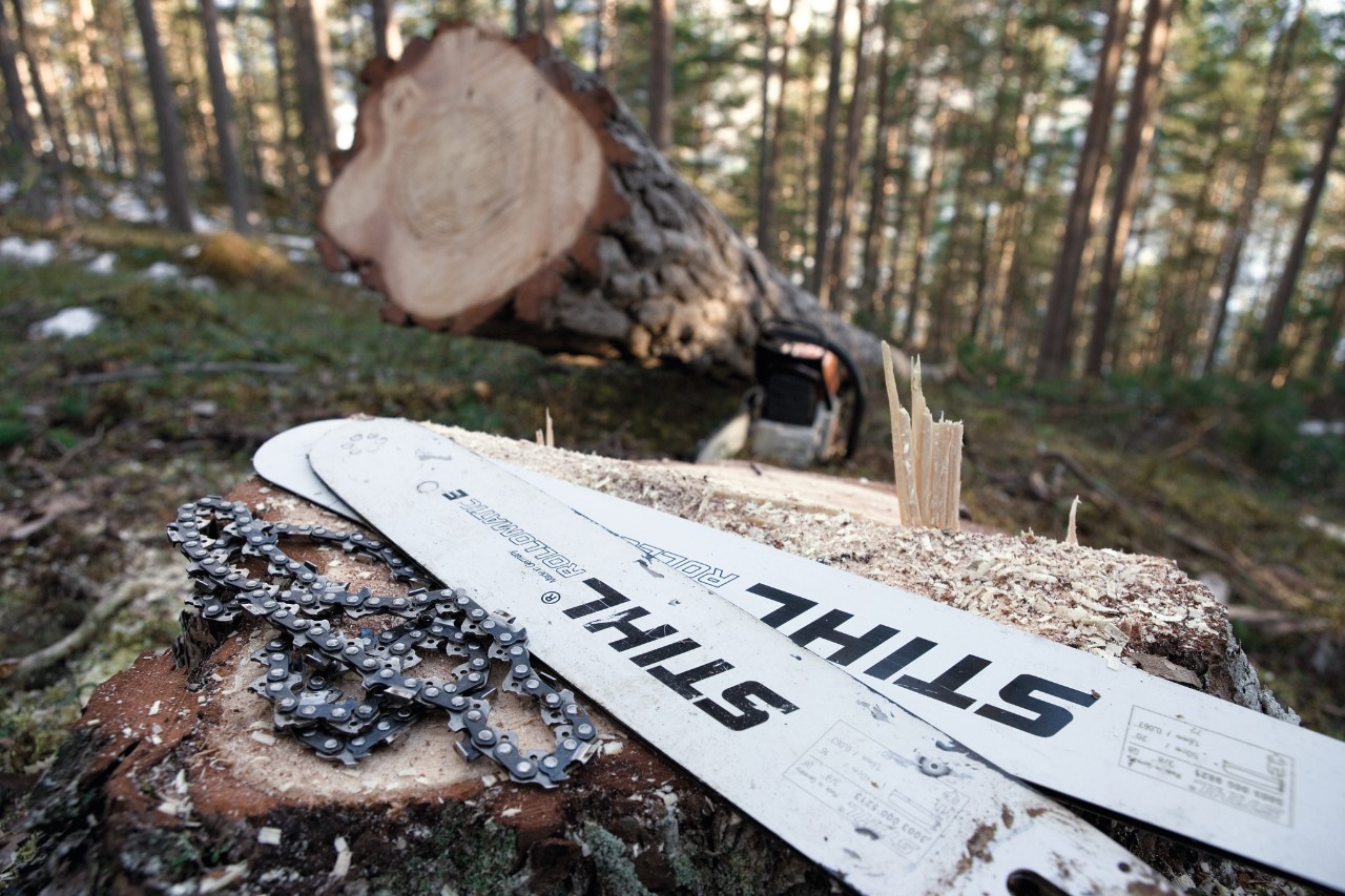 Deux guide-chaînes STIHL Rollomatic E sont posés sur une souche, à côté de chaînes de tronçonneuse