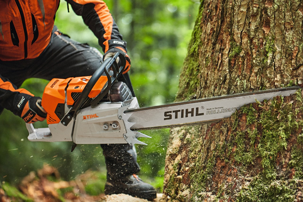 Personne sciant un arbre au moyen d’une tronçonneuse à essence STIHL MS 881 avec guide à nez