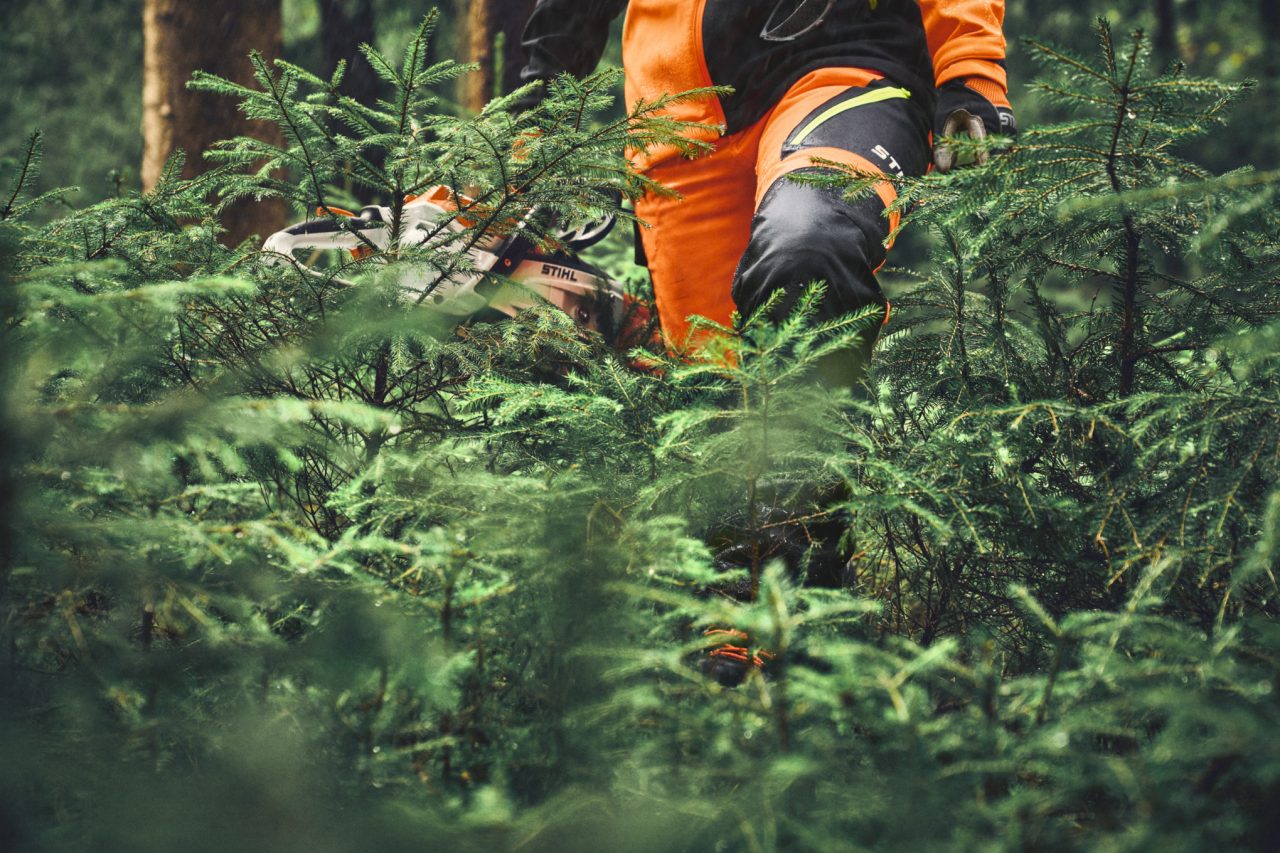 Gros plan sur le pantalon STIHL ADVANCE FlexTEC ShellTEC dans une forêt de conifères