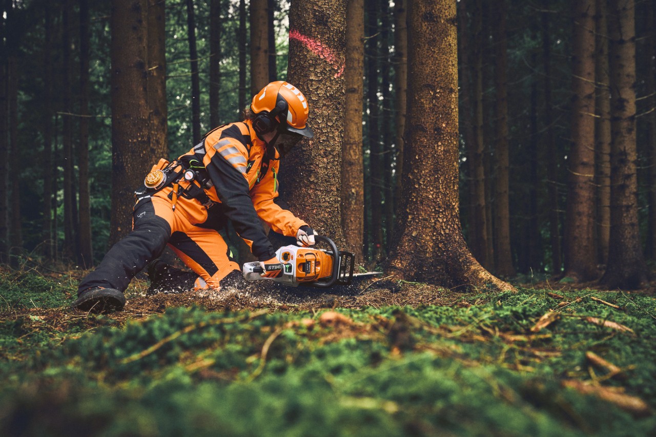 Un travailleur forestier en STIHL ADVANCE FlexTEC ShellTEC coupe un arbre avec une tronçonneuse STIHL.